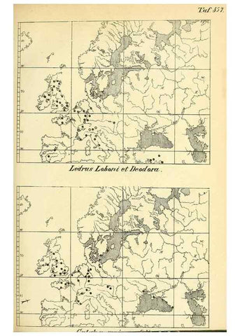 Reproducción/Reproduction 49705906162: Gartenflora.. Erlangen :F. Enke,1852-1940.. 