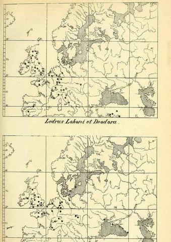 Reproducción/Reproduction 49705906162: Gartenflora.. Erlangen :F. Enke,1852-1940.. 