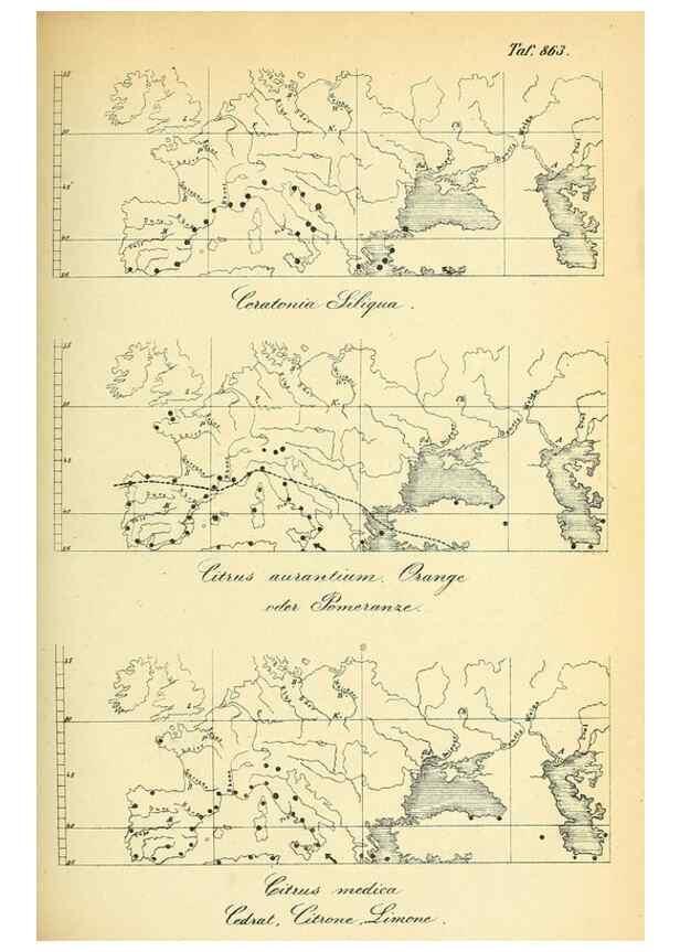 Reproducción/Reproduction 49705590311: Gartenflora.. Erlangen :F. Enke,1852-1940.. 