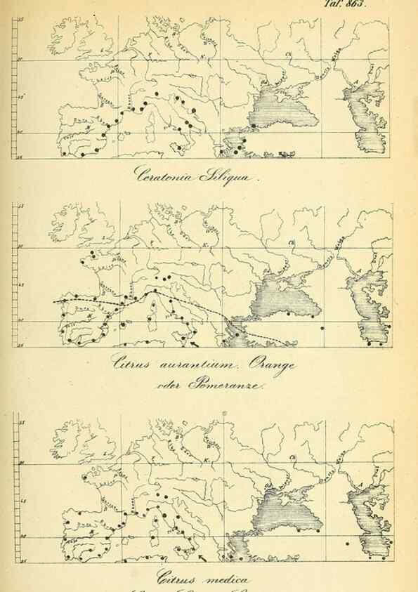 Reproducción/Reproduction 49705590311: Gartenflora.. Erlangen :F. Enke,1852-1940.. 