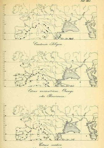 Reproducción/Reproduction 49705590311: Gartenflora.. Erlangen :F. Enke,1852-1940.. 
