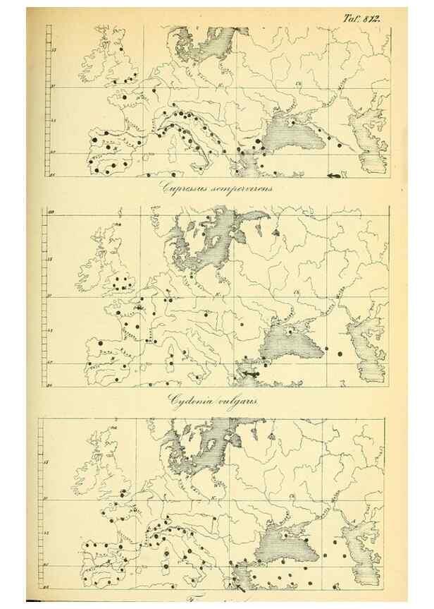 Reproducción/Reproduction 49705592426: Gartenflora.. Erlangen :F. Enke,1852-1940.. 