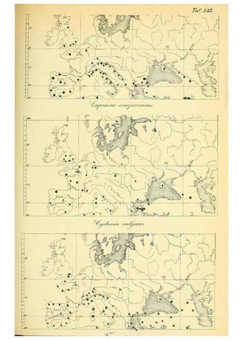 Reproducción/Reproduction 49705592426: Gartenflora.. Erlangen :F. Enke,1852-1940.. 