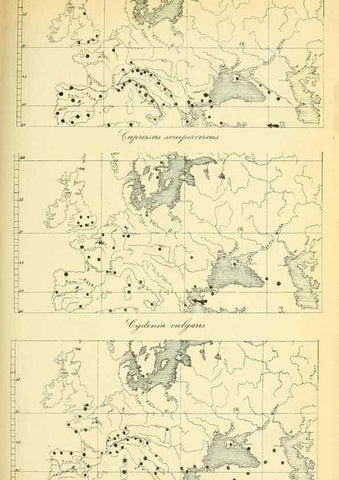 Reproducción/Reproduction 49705592426: Gartenflora.. Erlangen :F. Enke,1852-1940.. 