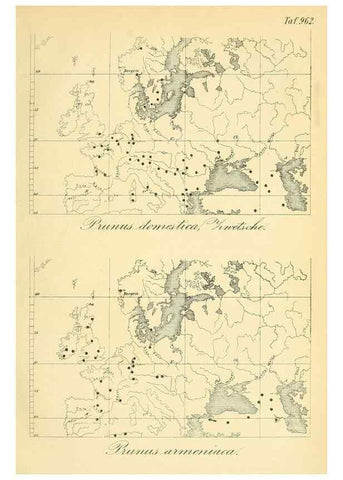 Reproducción/Reproduction 49716066438: Gartenflora.. Erlangen :F. Enke,1852-1940.. 