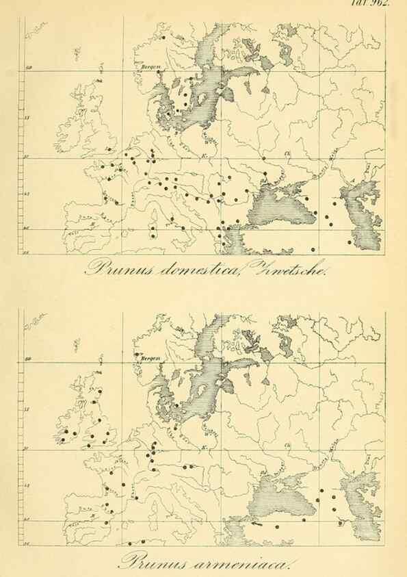 Reproducción/Reproduction 49716066438: Gartenflora.. Erlangen :F. Enke,1852-1940.. 