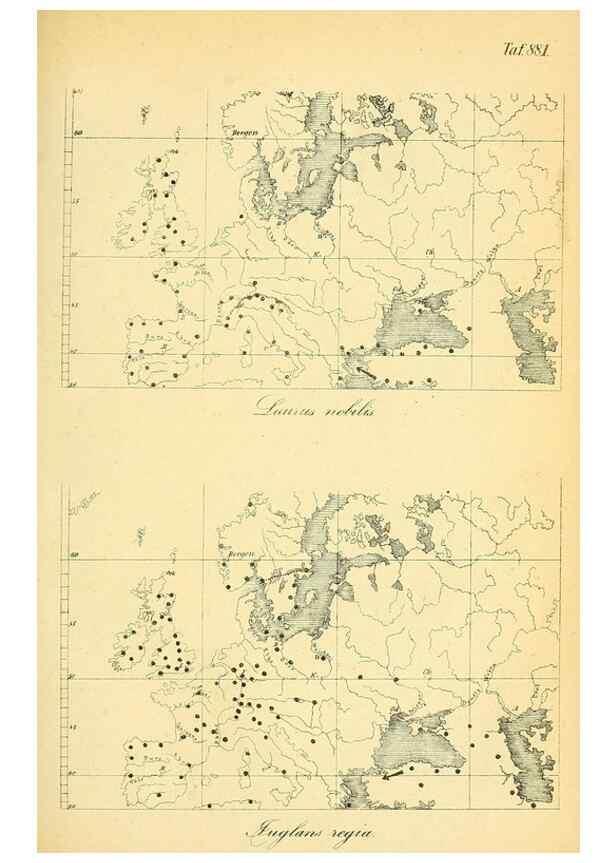 Reproducción/Reproduction 49705594571: Gartenflora.. Erlangen :F. Enke,1852-1940.. 