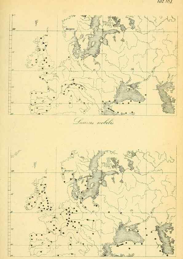 Reproducción/Reproduction 49705594571: Gartenflora.. Erlangen :F. Enke,1852-1940.. 
