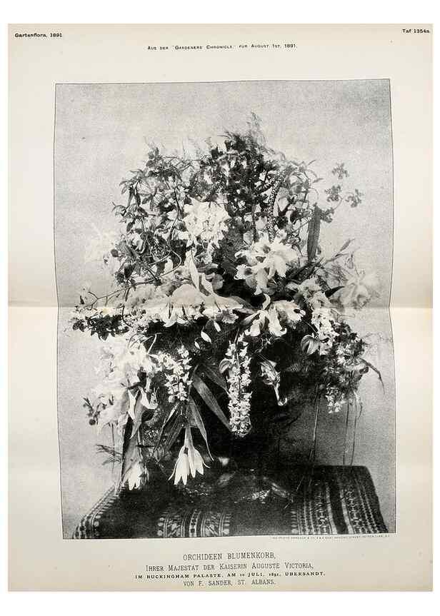 Reproducción/Reproduction 49717333863: Gartenflora.. Erlangen :F. Enke,1852-1940.. 