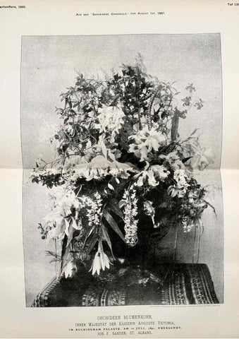 Reproducción/Reproduction 49717333863: Gartenflora.. Erlangen :F. Enke,1852-1940.. 
