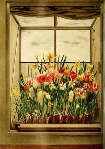 Reproducción/Reproduction 49718185382: Gartenflora.. Erlangen :F. Enke,1852-1940.. 