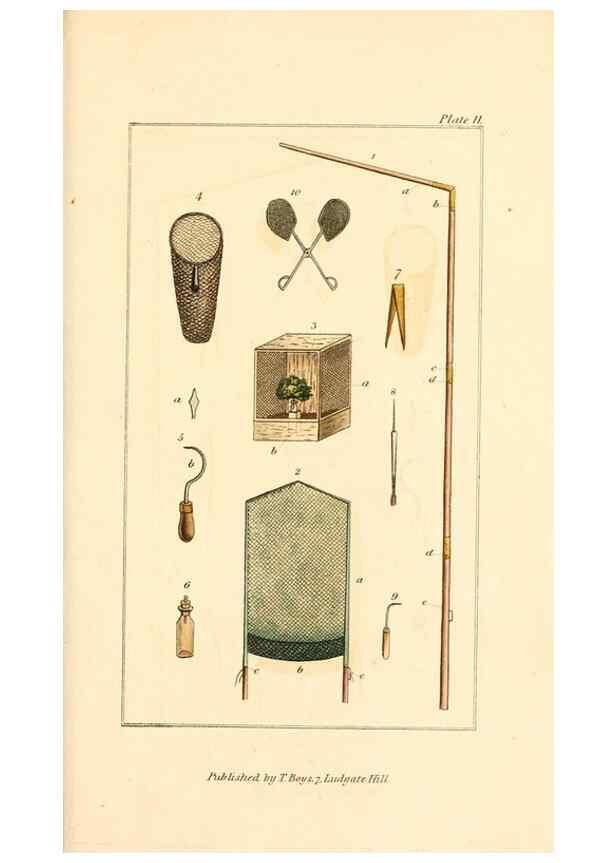 Reproducción/Reproduction 49680311031: The entomologist's useful compendium;. London,Printed for T. Boys,1819.. 