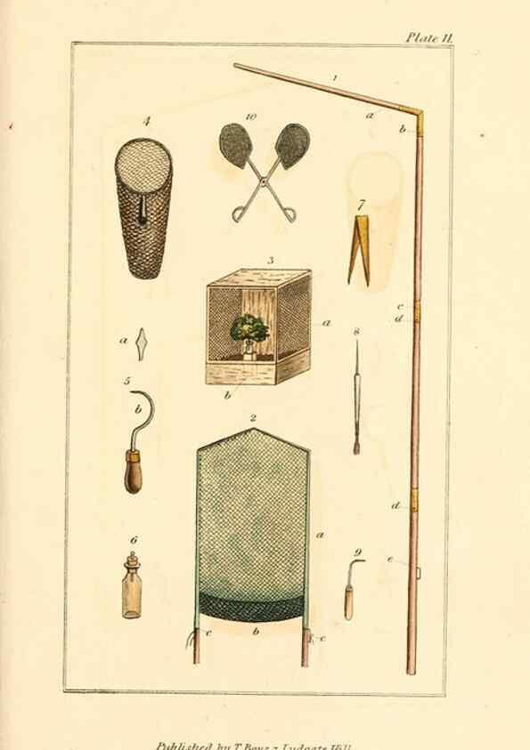 Reproducción/Reproduction 49680311031: The entomologist's useful compendium;. London,Printed for T. Boys,1819.. 