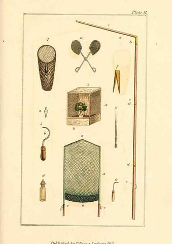 Reproducción/Reproduction 49680311031: The entomologist's useful compendium;. London,Printed for T. Boys,1819.. 