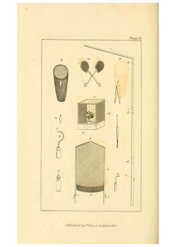 Reproducción/Reproduction 49679778463: The entomologist's useful compendium;. London,Printed for T. Boys,1819.. 
