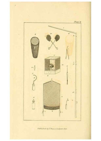 Reproducción/Reproduction 49679778463: The entomologist's useful compendium;. London,Printed for T. Boys,1819.. 