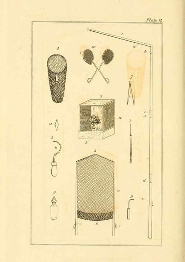 Reproducción/Reproduction 49679778463: The entomologist's useful compendium;. London,Printed for T. Boys,1819.. 