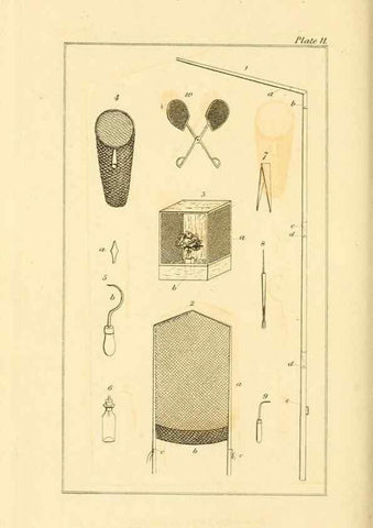Reproducción/Reproduction 49679778463: The entomologist's useful compendium;. London,Printed for T. Boys,1819.. 