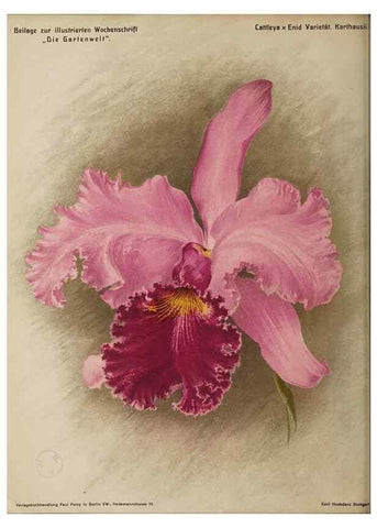 Reproducción/Reproduction 49684386932: Die Gartenwelt.. Berlin :G. Schmidt,[1897-. 