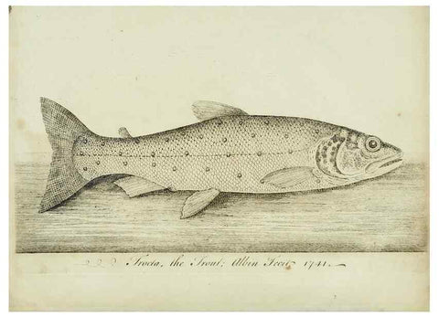 Reproducción/Reproduction 49680895057: The history of esculent fish. London :Printed for Edward Jeffery ..., Robert Faulder ..., J. Cuthell, and J. Deighton ... J. Walker ..., Hamilton and Co.,1794.. 