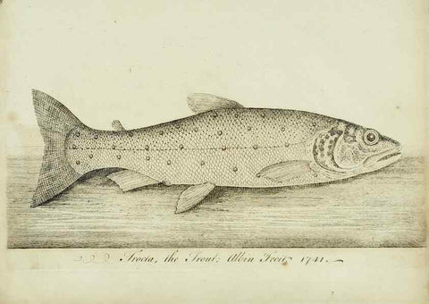 Reproducción/Reproduction 49680895057: The history of esculent fish. London :Printed for Edward Jeffery ..., Robert Faulder ..., J. Cuthell, and J. Deighton ... J. Walker ..., Hamilton and Co.,1794.. 