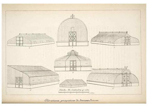 Reproducción/Reproduction 49684168131: L'Illustration horticole :. Gand, Belgium :Imprimerie et lithographie de F. et E. Gyselnyck,1854-1896.. 