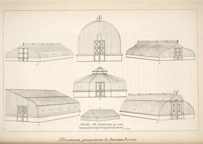 Reproducción/Reproduction 49684168131: L'Illustration horticole :. Gand, Belgium :Imprimerie et lithographie de F. et E. Gyselnyck,1854-1896.. 