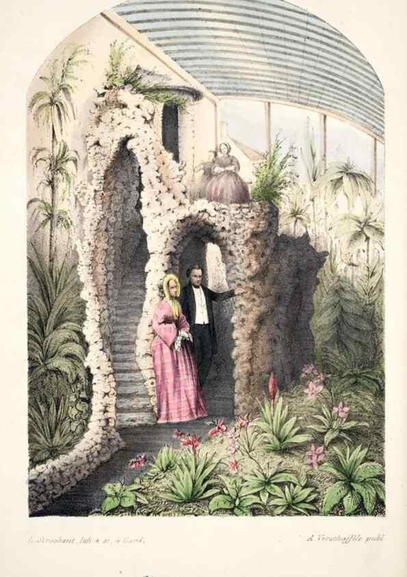 Reproducción/Reproduction 49684461912: L'Illustration horticole :. Gand, Belgium :Imprimerie et lithographie de F. et E. Gyselnyck,1854-1896.. 