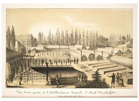 Reproducción/Reproduction 49683629773: L'Illustration horticole :. Gand, Belgium :Imprimerie et lithographie de F. et E. Gyselnyck,1854-1896.. 