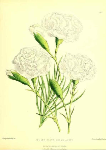 Reproducción/Reproduction 49679888173: The floral magazine;. London,L. Reeve & Co.. 