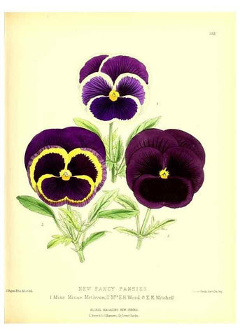 Reproducción/Reproduction 49680705312: The floral magazine;. London,L. Reeve & Co.. 