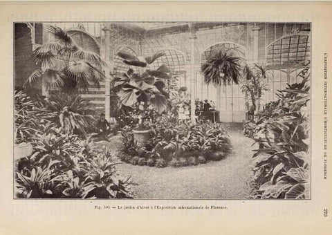 Reproducción/Reproduction 49643689521: Revue horticole.. Paris :Librairie agricole de la maison rustique,1829-1974.. 