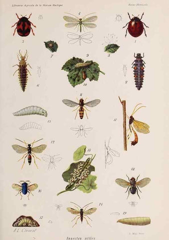 Reproducción/Reproduction 49643964972: Revue horticole.. Paris :Librairie agricole de la maison rustique,1829-1974.. 