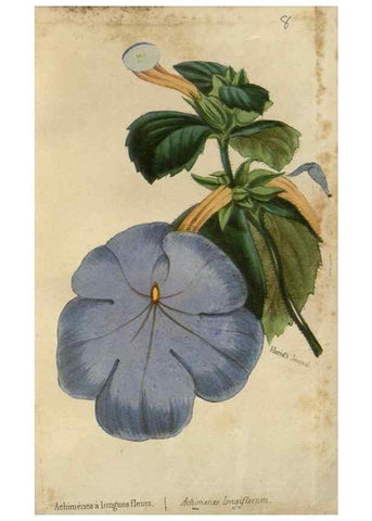 Reproducción/Reproduction 49647592051: Revue horticole.. Paris :Librairie agricole de la maison rustique,1829-1974.. 