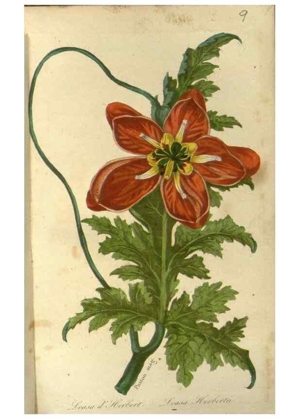 Reproducción/Reproduction 49647875717: Revue horticole.. Paris :Librairie agricole de la maison rustique,1829-1974.. 