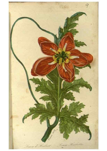 Reproducción/Reproduction 49647875717: Revue horticole.. Paris :Librairie agricole de la maison rustique,1829-1974.. 