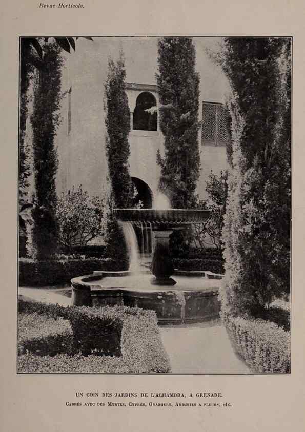 Reproducción/Reproduction 49644032916: Revue horticole.. Paris :Librairie agricole de la maison rustique,1829-1974.. 