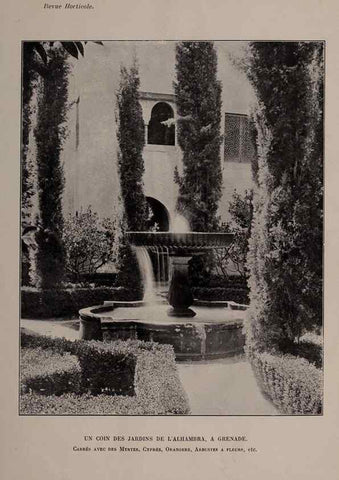 Reproducción/Reproduction 49644032916: Revue horticole.. Paris :Librairie agricole de la maison rustique,1829-1974.. 