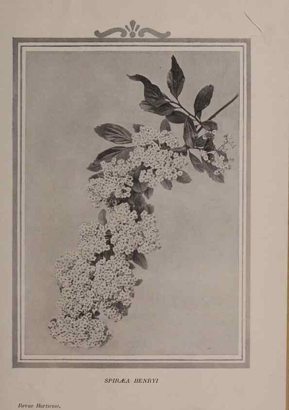 Reproducción/Reproduction 49644313962: Revue horticole.. Paris :Librairie agricole de la maison rustique,1829-1974.. 