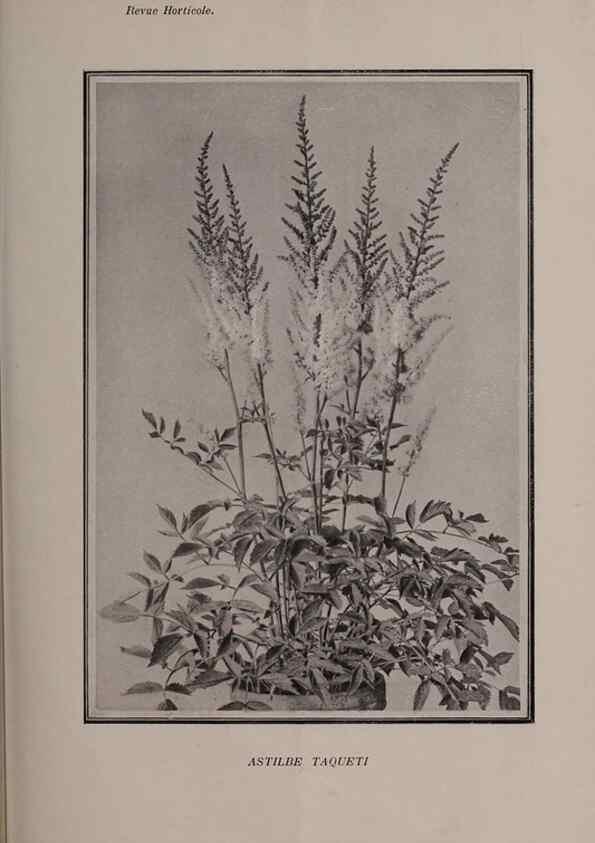 Reproducción/Reproduction 49644035756: Revue horticole.. Paris :Librairie agricole de la maison rustique,1829-1974.. 