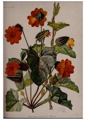 Reproducción/Reproduction 49643510408: Revue horticole.. Paris :Librairie agricole de la maison rustique,1829-1974.. 