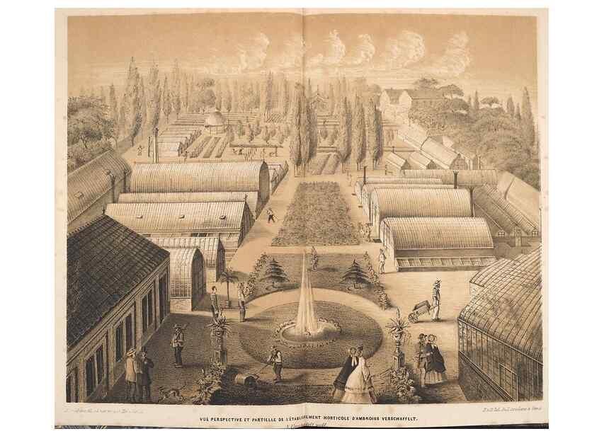Reproducción/Reproduction 49689583683: L'Illustration horticole :. Gand, Belgium :Imprimerie et lithographie de F. et E. Gyselnyck,1854-1896.. 