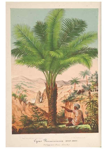 Reproducción/Reproduction 49690087556: L'Illustration horticole :. Gand, Belgium :Imprimerie et lithographie de F. et E. Gyselnyck,1854-1896.. 