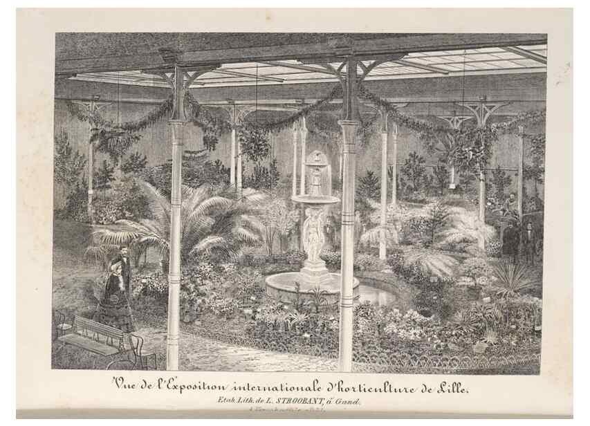 Reproducción/Reproduction 49687468973: L'Illustration horticole :. Gand, Belgium :Imprimerie et lithographie de F. et E. Gyselnyck,1854-1896.. 