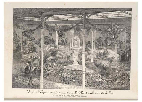 Reproducción/Reproduction 49687468973: L'Illustration horticole :. Gand, Belgium :Imprimerie et lithographie de F. et E. Gyselnyck,1854-1896.. 