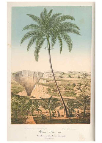 Reproducción/Reproduction 49688308542: L'Illustration horticole :. Gand, Belgium :Imprimerie et lithographie de F. et E. Gyselnyck,1854-1896.. 