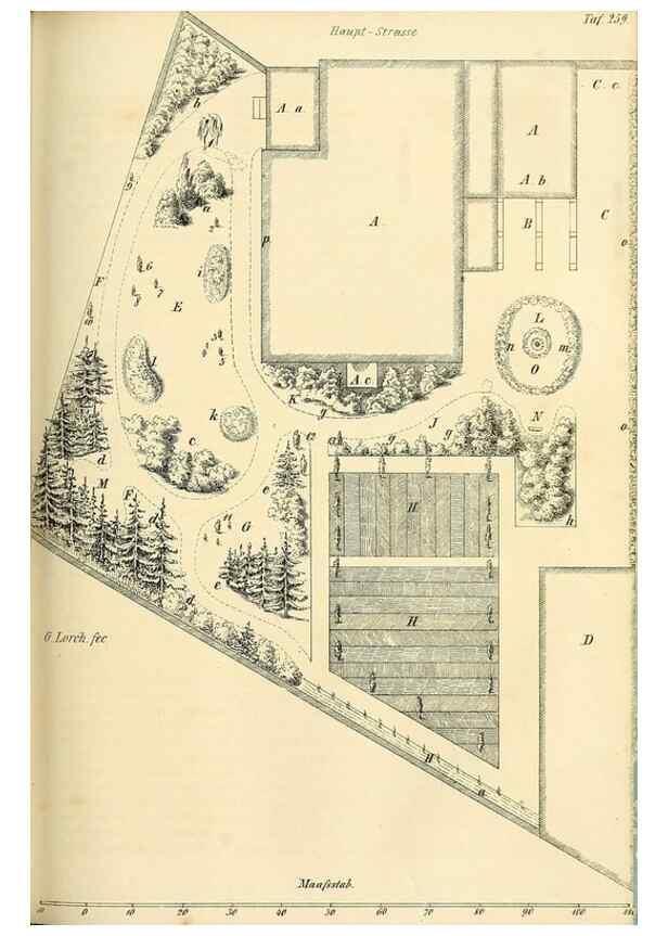 Reproducción/Reproduction 49689821063: Gartenflora.. Erlangen :F. Enke,1852-1940.. 