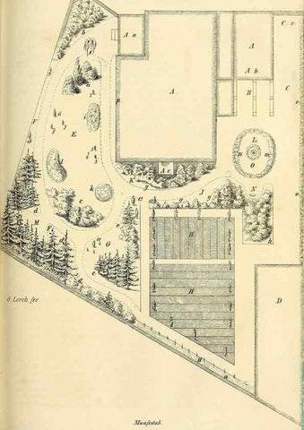 Reproducción/Reproduction 49689821063: Gartenflora.. Erlangen :F. Enke,1852-1940.. 