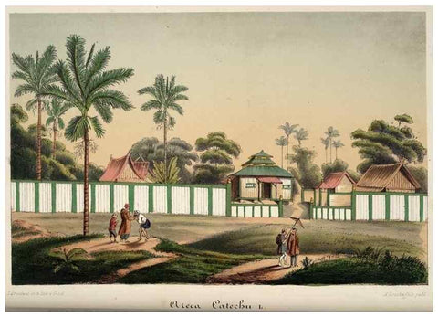 Reproducción/Reproduction 49684632007: L'Illustration horticole :. Gand, Belgium :Imprimerie et lithographie de F. et E. Gyselnyck,1854-1896.. 
