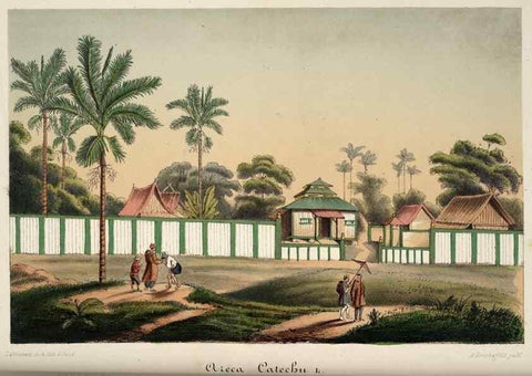 Reproducción/Reproduction 49684632007: L'Illustration horticole :. Gand, Belgium :Imprimerie et lithographie de F. et E. Gyselnyck,1854-1896.. 